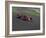 Formula Atlantic Racing Car Action-null-Framed Photographic Print