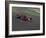 Formula Atlantic Racing Car Action-null-Framed Photographic Print