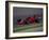 Formula Atlantic Racing Car Action-null-Framed Photographic Print