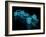 Formula One Mesh-nmcandre-Framed Photographic Print