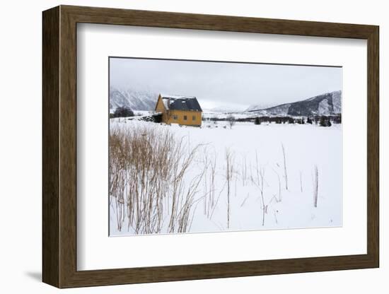 Fornes, Vesteralen Islands, Arctic, Norway, Scandinavia-Sergio Pitamitz-Framed Photographic Print
