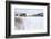 Fornes, Vesteralen Islands, Arctic, Norway, Scandinavia-Sergio Pitamitz-Framed Photographic Print