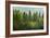 Forrest of Green Pine Trees on Mountainside with Rain-eric1513-Framed Photographic Print