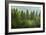 Forrest of Green Pine Trees on Mountainside with Rain-eric1513-Framed Photographic Print