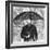 Forster's Umbrella Support, 1888-Science Source-Framed Giclee Print