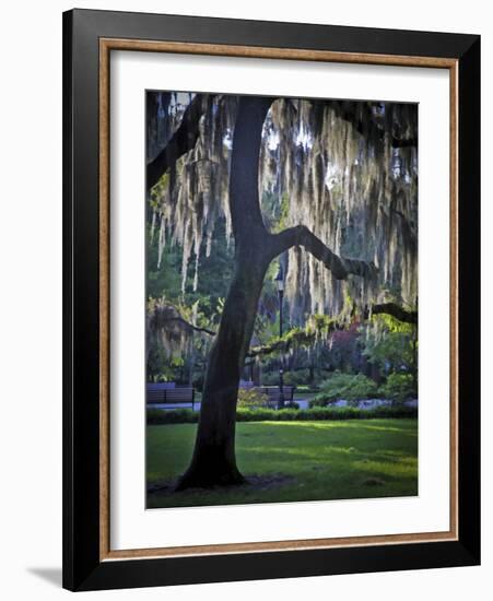 Forsyth Pk, Savannah-J.D. Mcfarlan-Framed Photographic Print