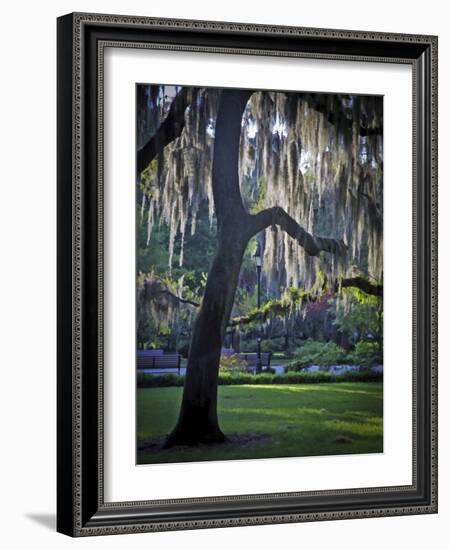 Forsyth Pk, Savannah-J.D. Mcfarlan-Framed Photographic Print