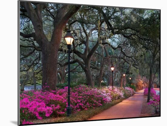 Forsythe Park-Winthrope Hiers-Mounted Photographic Print