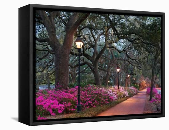 Forsythe Park-Winthrope Hiers-Framed Premier Image Canvas