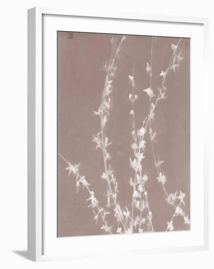Forsythia in Grey-Sarah Cheyne-Framed Giclee Print