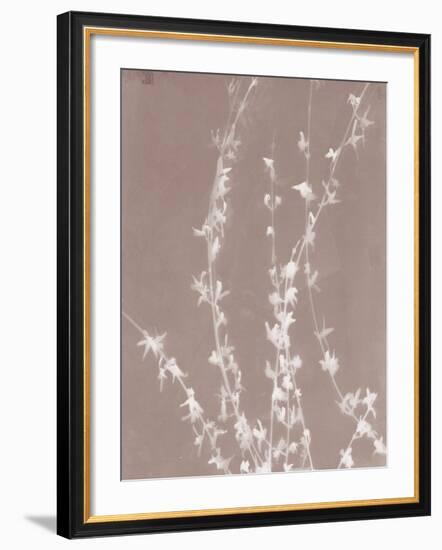 Forsythia in Grey-Sarah Cheyne-Framed Giclee Print