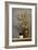 Forsythia-Ray Hendershot-Framed Art Print