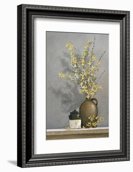 Forsythia-Ray Hendershot-Framed Art Print