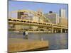 Fort Duquesne Bridge over the Allegheny River, Pittsburgh, Pennsylvania, United States of America,-Richard Cummins-Mounted Photographic Print