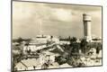 Photographic Print