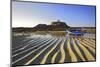 Fort Grey, Rocquaine Bay, Guernsey, Channel Islands-Neil Farrin-Mounted Photographic Print