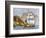 Fort McHenry and Baltimore under British Naval Artillery Attack, 1814-null-Framed Giclee Print