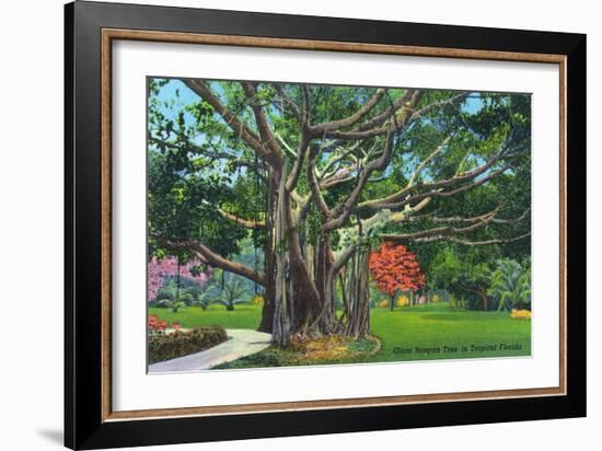 Fort Myers, Florida - View of a Giant Banyan Tree, c.1948-Lantern Press-Framed Art Print