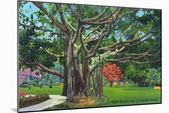 Fort Myers, Florida - View of a Giant Banyan Tree, c.1948-Lantern Press-Mounted Art Print