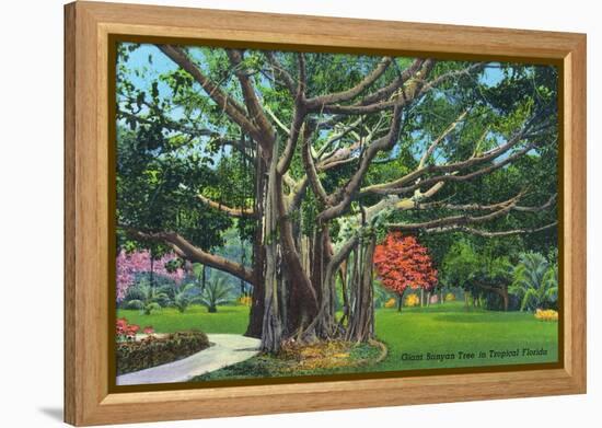 Fort Myers, Florida - View of a Giant Banyan Tree, c.1948-Lantern Press-Framed Stretched Canvas