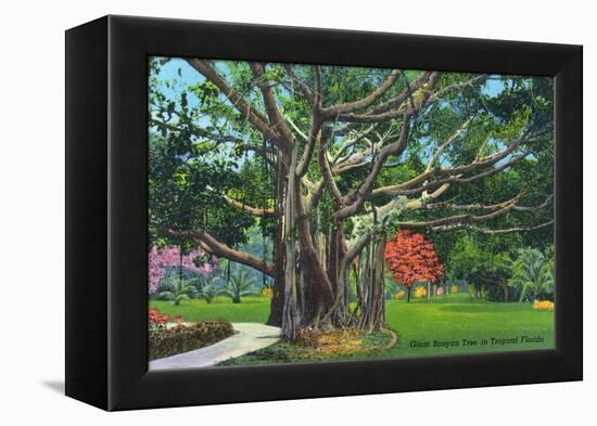 Fort Myers, Florida - View of a Giant Banyan Tree, c.1948-Lantern Press-Framed Stretched Canvas