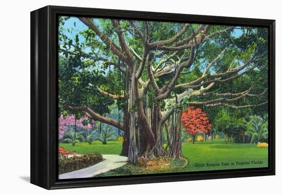 Fort Myers, Florida - View of a Giant Banyan Tree, c.1948-Lantern Press-Framed Stretched Canvas