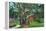 Fort Myers, Florida - View of a Giant Banyan Tree, c.1948-Lantern Press-Framed Stretched Canvas