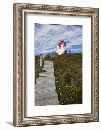 Fort Point Lighthouse, Trinity, Newfoundland, Canada-Greg Johnston-Framed Photographic Print