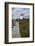 Fort Point Lighthouse, Trinity, Newfoundland, Canada-Greg Johnston-Framed Photographic Print