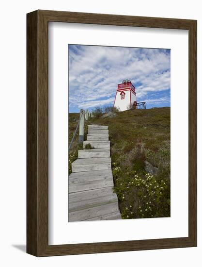 Fort Point Lighthouse, Trinity, Newfoundland, Canada-Greg Johnston-Framed Photographic Print