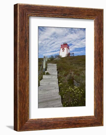 Fort Point Lighthouse, Trinity, Newfoundland, Canada-Greg Johnston-Framed Photographic Print