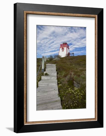 Fort Point Lighthouse, Trinity, Newfoundland, Canada-Greg Johnston-Framed Photographic Print