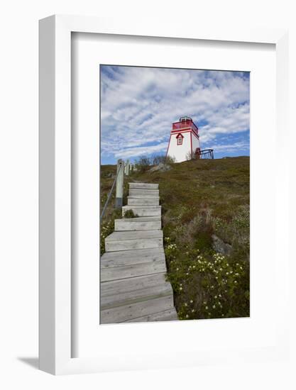 Fort Point Lighthouse, Trinity, Newfoundland, Canada-Greg Johnston-Framed Photographic Print