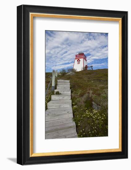 Fort Point Lighthouse, Trinity, Newfoundland, Canada-Greg Johnston-Framed Photographic Print