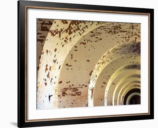 Fort Pulaski, Tybee Island, Georgia, USA-Joanne Wells-Framed Photographic Print