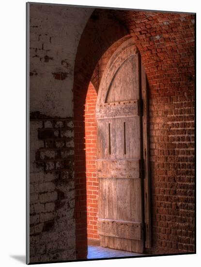 Fort Pulaski, Tybee Island, Georgia, USA-Joanne Wells-Mounted Photographic Print