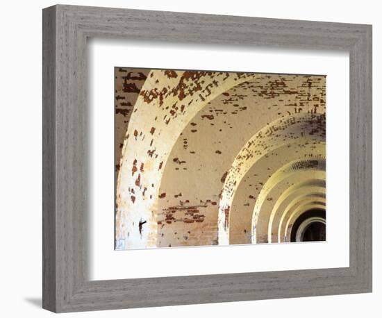 Fort Pulaski, Tybee Island, Georgia, USA-Joanne Wells-Framed Photographic Print