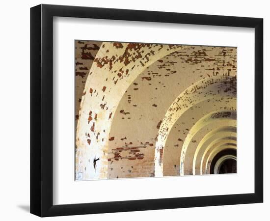 Fort Pulaski, Tybee Island, Georgia, USA-Joanne Wells-Framed Photographic Print