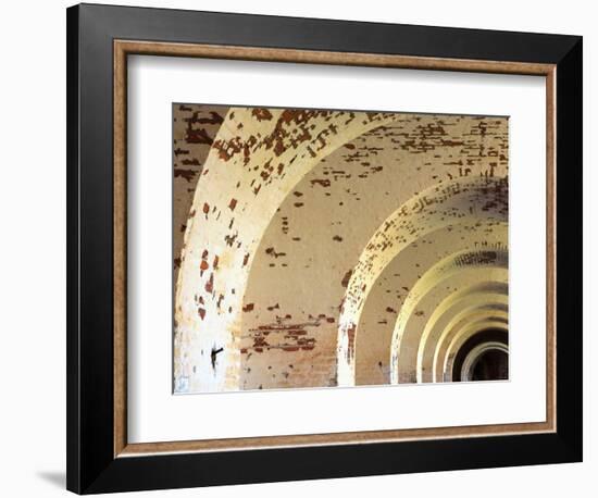 Fort Pulaski, Tybee Island, Georgia, USA-Joanne Wells-Framed Photographic Print