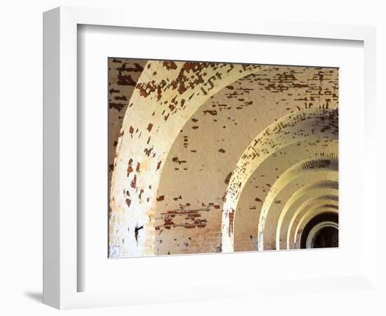 Fort Pulaski, Tybee Island, Georgia, USA-Joanne Wells-Framed Photographic Print