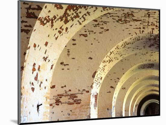 Fort Pulaski, Tybee Island, Georgia, USA-Joanne Wells-Mounted Photographic Print