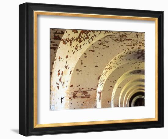 Fort Pulaski, Tybee Island, Georgia, USA-Joanne Wells-Framed Photographic Print