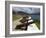 Fort Shirley in Cabrits National Park, Portsmouth, Dominica, Windward Islands, West Indies-Richard Cummins-Framed Photographic Print