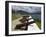 Fort Shirley in Cabrits National Park, Portsmouth, Dominica, Windward Islands, West Indies-Richard Cummins-Framed Photographic Print