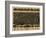 Fort Worth, Texas - Panoramic Map-Lantern Press-Framed Art Print