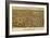 Fort Worth, TX 1891-Dan Sproul-Framed Art Print