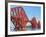 Forth Rail Bridge over the Firth of Forth, South Queensferry Near Edinburgh, Lothian, Scotland-Chris Hepburn-Framed Photographic Print