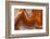 Fortifications Crazy Lace Agate-Darrell Gulin-Framed Photographic Print