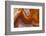 Fortifications Crazy Lace Agate-Darrell Gulin-Framed Photographic Print