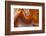 Fortifications Crazy Lace Agate-Darrell Gulin-Framed Photographic Print